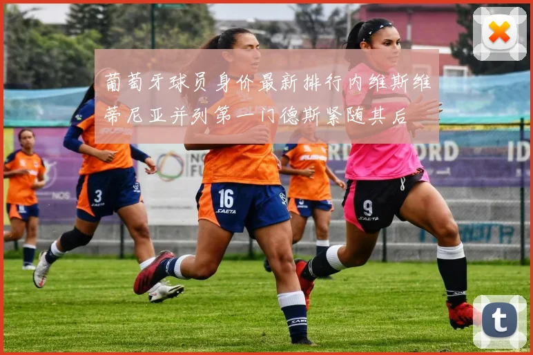 葡萄牙球员身价最新排行内维斯维蒂尼亚并列第一门德斯紧随其后